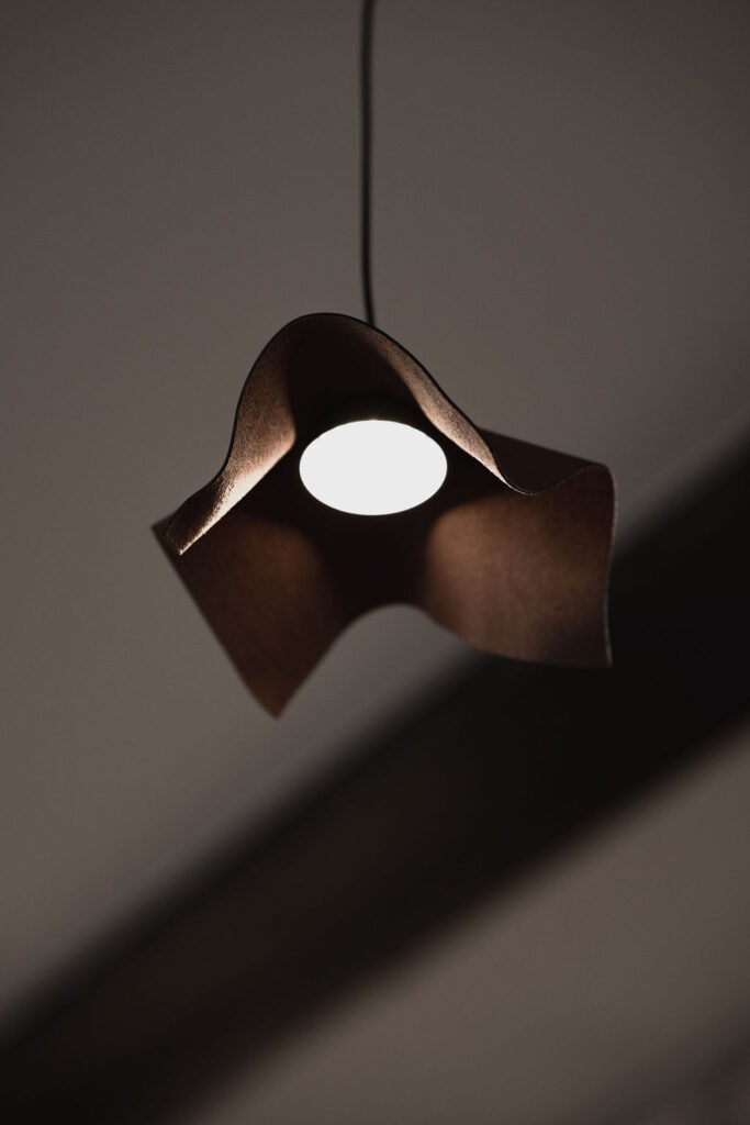 Luminaire bronze